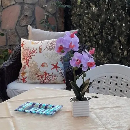 4 Stagioni-2
